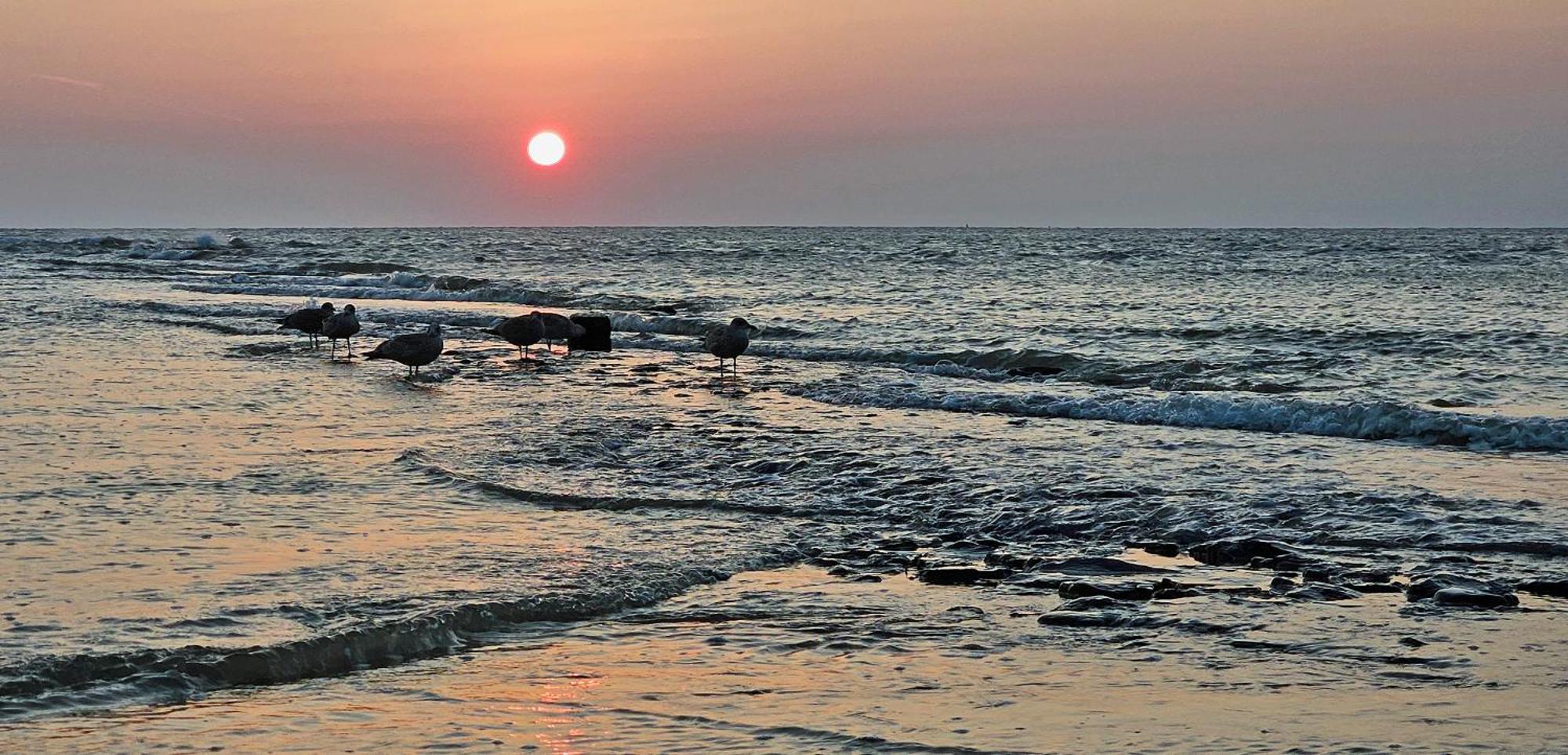 Zanddijk 113, Julianadorp Aan Zee Kültér fotó